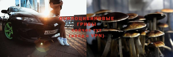 apvp Краснослободск