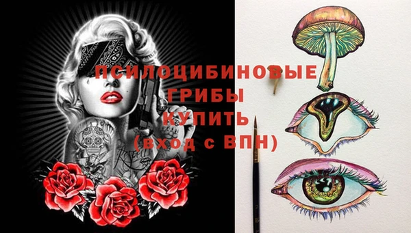 прущий лед Кодинск