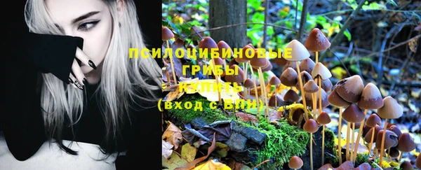 амф Нефтегорск