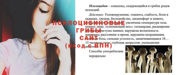 прущий лед Кодинск