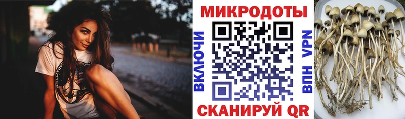 Галлюциногенные грибы Magic Shrooms  закладка  Курчатов 